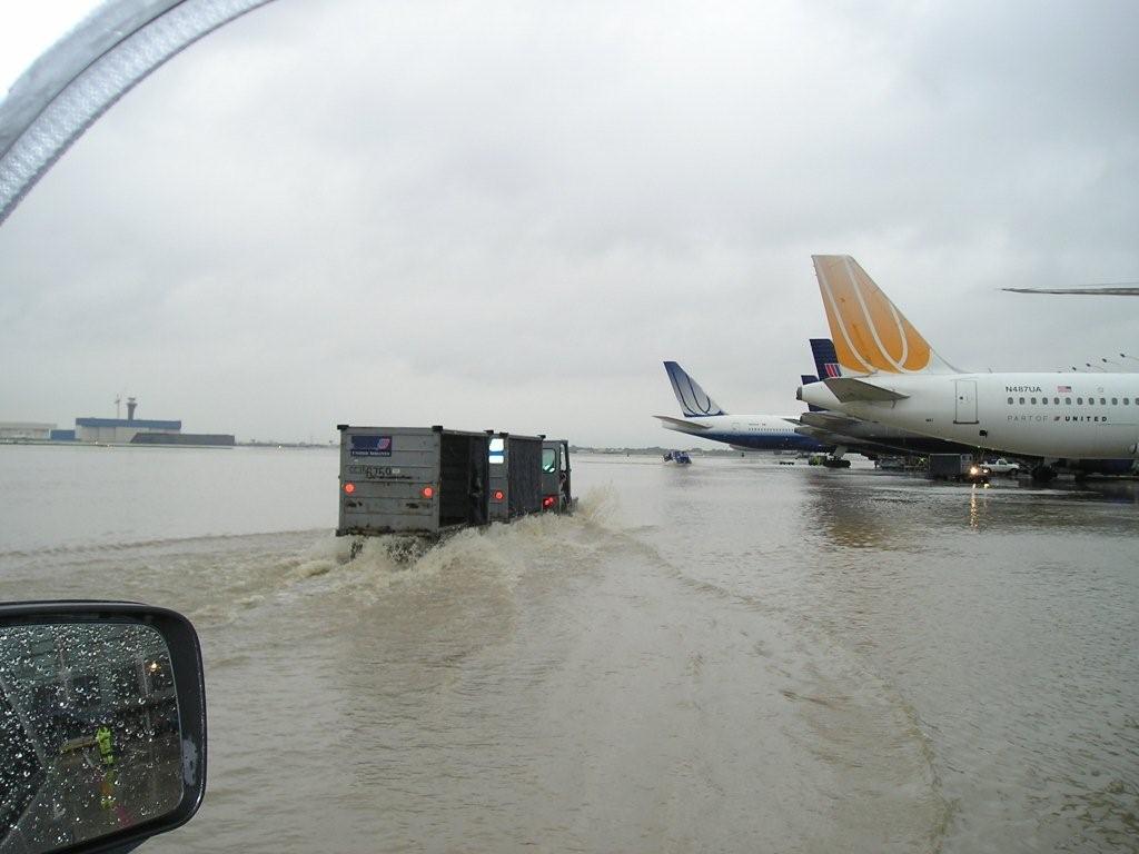 file005.jpg