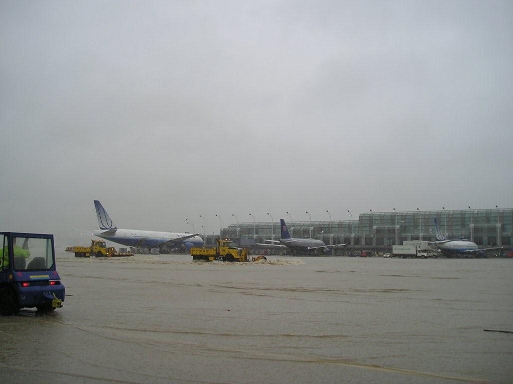 file007.jpg